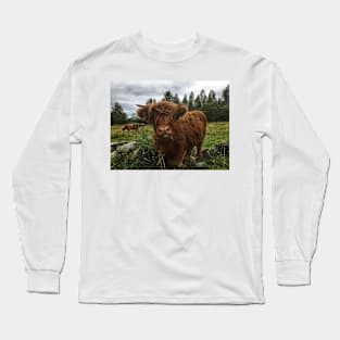 Scottish Highland Cattle Calf 2058 Long Sleeve T-Shirt